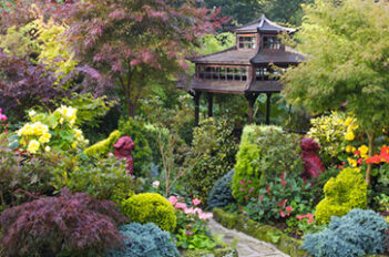 Plantes Pour Jardin Japonais - Plante pour Jardin Japonais Zen