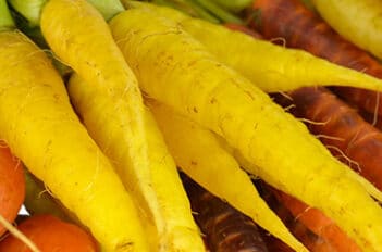 Mini-Legumes - Jardiniers Professionnels