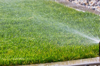 Arrosage Jardin - L'Arrosage d'une pelouse