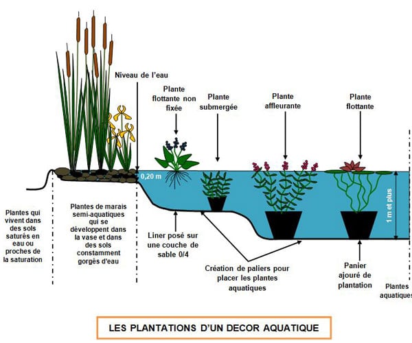 plantation d'un décor aquatique - Professionnels A Domicile
