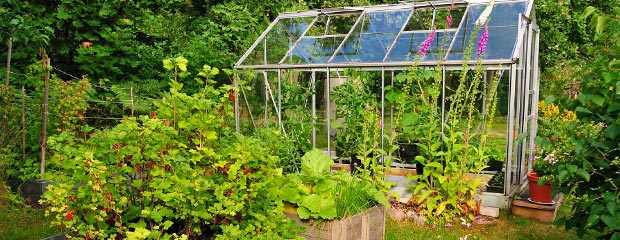 Ornements de jardin – Les Serres Bourgeon Greenhouses
