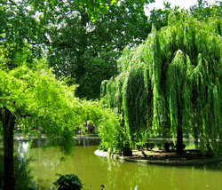 lac parc buttes chaumont ; jardins paysagers de 1850 à 1910 ; histoire des jardins - Professionnels A Domicile
