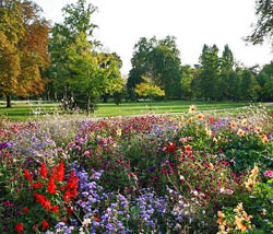 parc bordelais à Bordeaux ; jardins paysagers de 1850 à 1910 histoire des jardins - Professionnels A Domicile