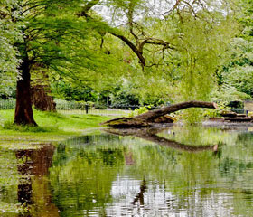 sefton-park-liverpool-jardins-paysagers-de-1850-a-1910-histoire-des-jardins - Professionnels A Domicile