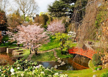 jardin Albert Kahn à Boulogne Billancourt - jardins japonais - Professionnels A Domicile