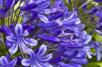 Que faire au mois d'avril ? les travaux du mois - Jardiniers Professionnels