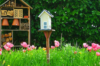 Biodiversité dans le Jardin - Avantages de la Biodiversité dans le Jardin