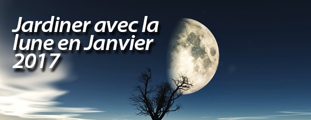 Calendrier Lunaire du Mois de Janvier 2017 - Le calendrier Lunaire Utile
