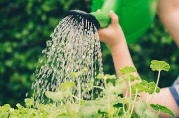 Les conseils des Jardiniers Professionnels pour initier ses enfants au jardinage