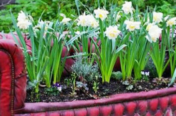 L’art de la Récup' au Jardin - Transformer une Baignoire en Bassin