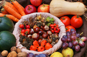 Fruits et légumes d'automne - Récolte des Fruits et Légumes d'automne