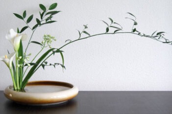 Technique florale Ikebana