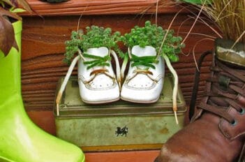 fleurs qui poussent dans des chaussures