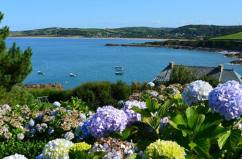 jardin de bord de mer