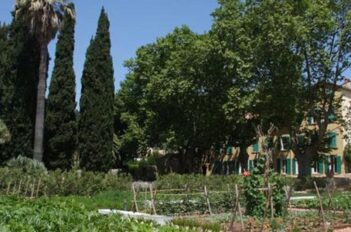 Potager en région méditerranéenne