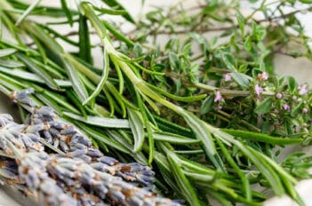 Plantes Aromatiques et Huiles Essentielles