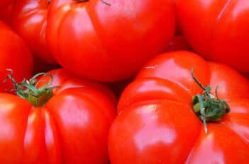 Faire Mûrir les Tomates