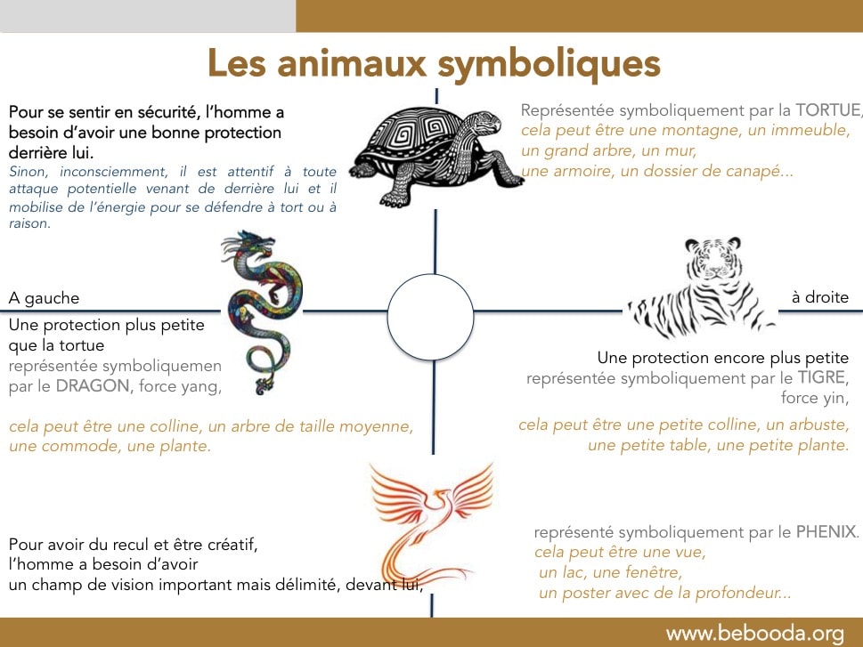 infographie 5 animaux symboliques