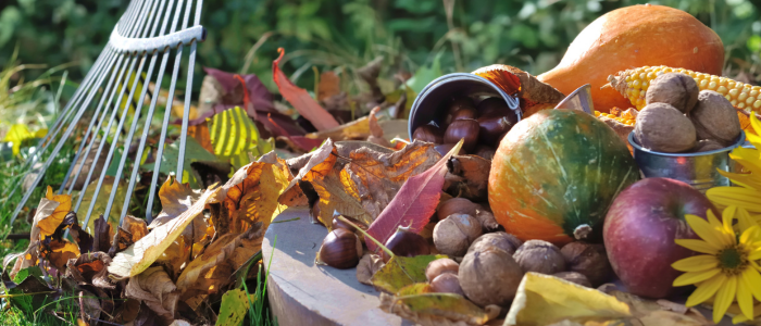 feuilles et légumes d'automne dans le jardin
