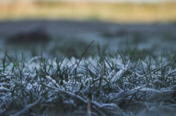 Tondre la Pelouse en Hiver - Tondre en Hiver