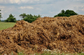 Fertiliser En Hiver Son Jardin