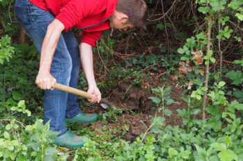 Bien Préparer Vos Trous De Plantation