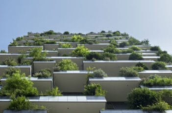 Balcons Et Terrasses En Février - Entretien, plantations En Février