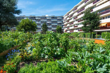 Agriculture Urbaine - Découvrez L'Agriculture Urbaine dans la Ville