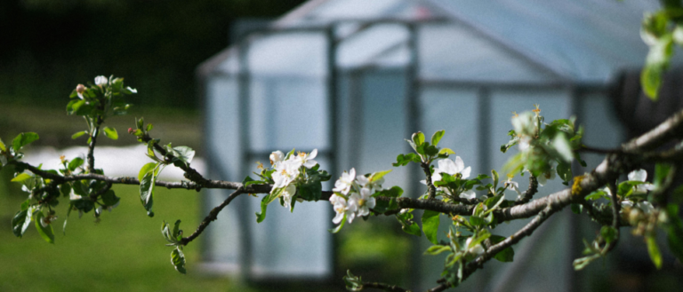 serre jardin