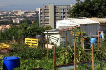 Risques des Potagers Urbains - Pollution et Culture des Légumes en Ville