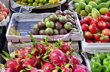 Fruits Exotiques au Potager - Quelques Fruits Exotiques à Planter au Potager