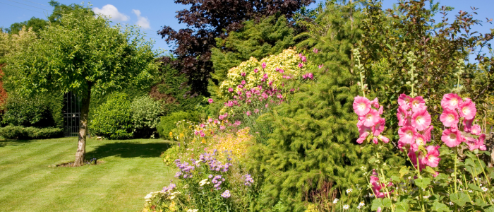 jardin fleuri d'été