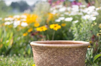 préparation du jardin en été