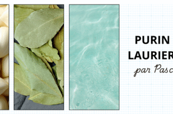 Purin d'ail et Laurier