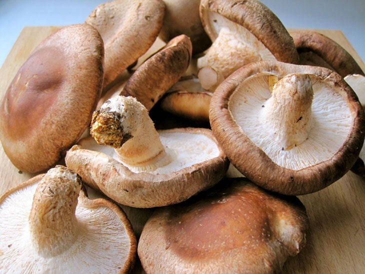 shitaké champignons