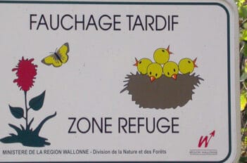 fauchage tardif