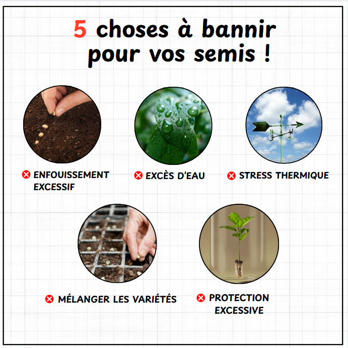 semis conseils