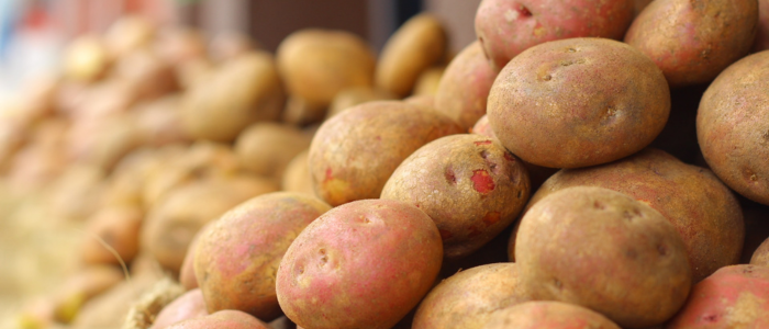 Pommes de terre