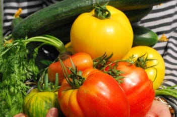 Préparer le Jardin Avant les Vacances - Jardin et les Vacances