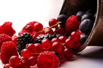 Bienfaits des Fruits Rouges - Fruits Rouges dans le Jardin