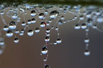 Perle d’eau - Hydro Rétenteur pour les Pots