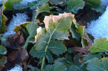 Préparer l'hiver - Bons Gestes pour Préparer l'hiver