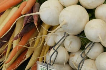 légumes en hiver : quels légumes cultiver en hiver