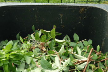 dechet jardin paysagiste