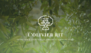 logo l'olivier rit