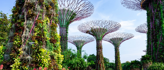 Gardens by the Bay Singapoure