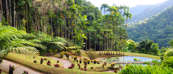 Jardin Balata en Martinique
