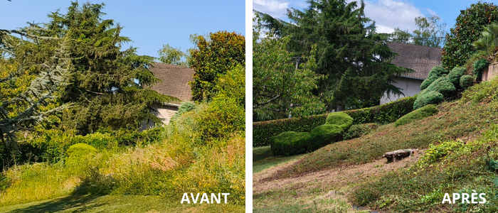avant/après debroussaillage