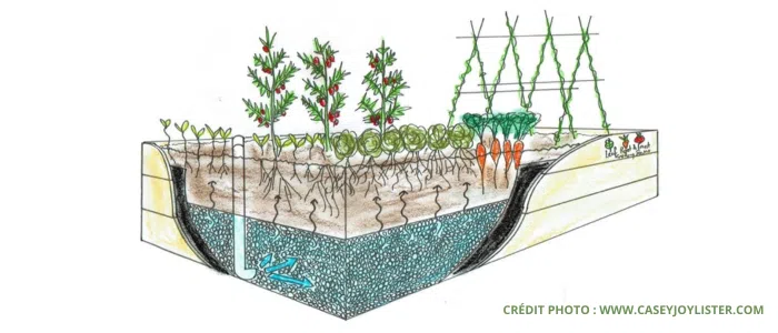 Wicking bed