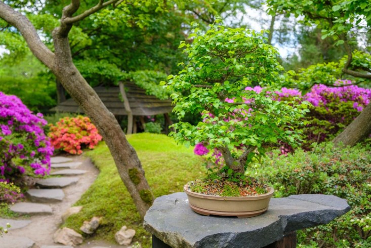 amenagement petit jardin